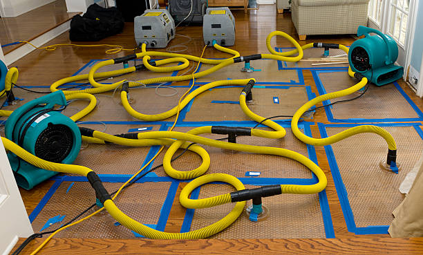 Professional Storm Water Damage Restoration technician working in Fulton, OH